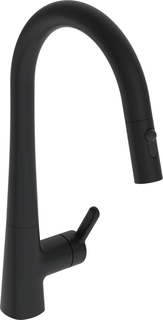 Bild von HANSA HANSADESIGNO Style Comfort Küchenarmatur #5136228333