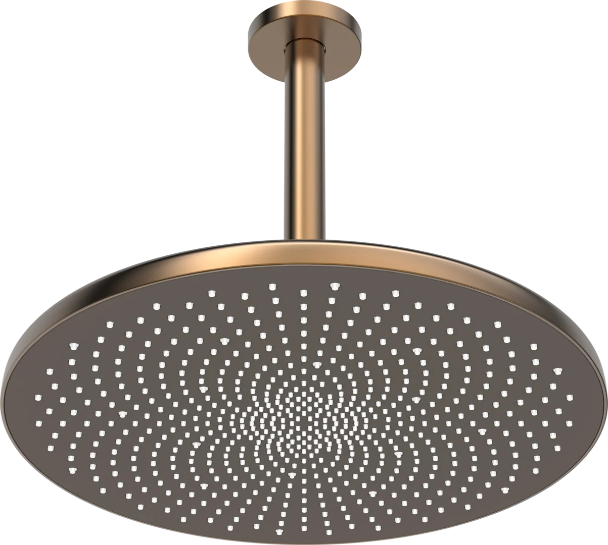 Picture of HANSA HANSAAURELIA Overhead shower, d 300 mm #4727030081