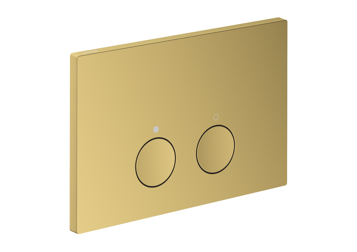 Bild von HANSGROHE AXOR FlushPlate Drückerplatten #42530990 - Polished Gold Optic
