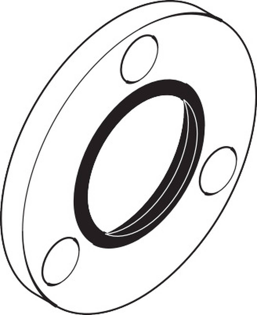 Obrázek HANSGROHE rozeta Ø 108 mm #13936000