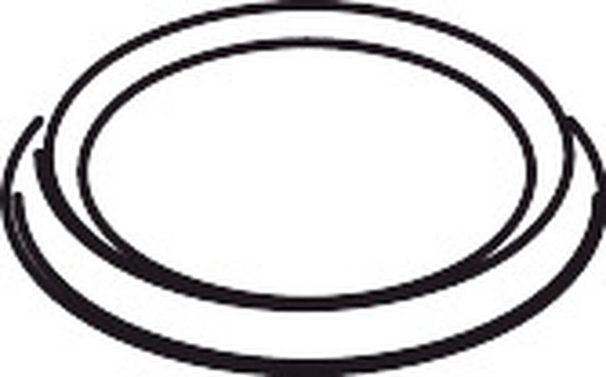 Bild von HANSGROHE Dekorring #96211880 - Edelmatt