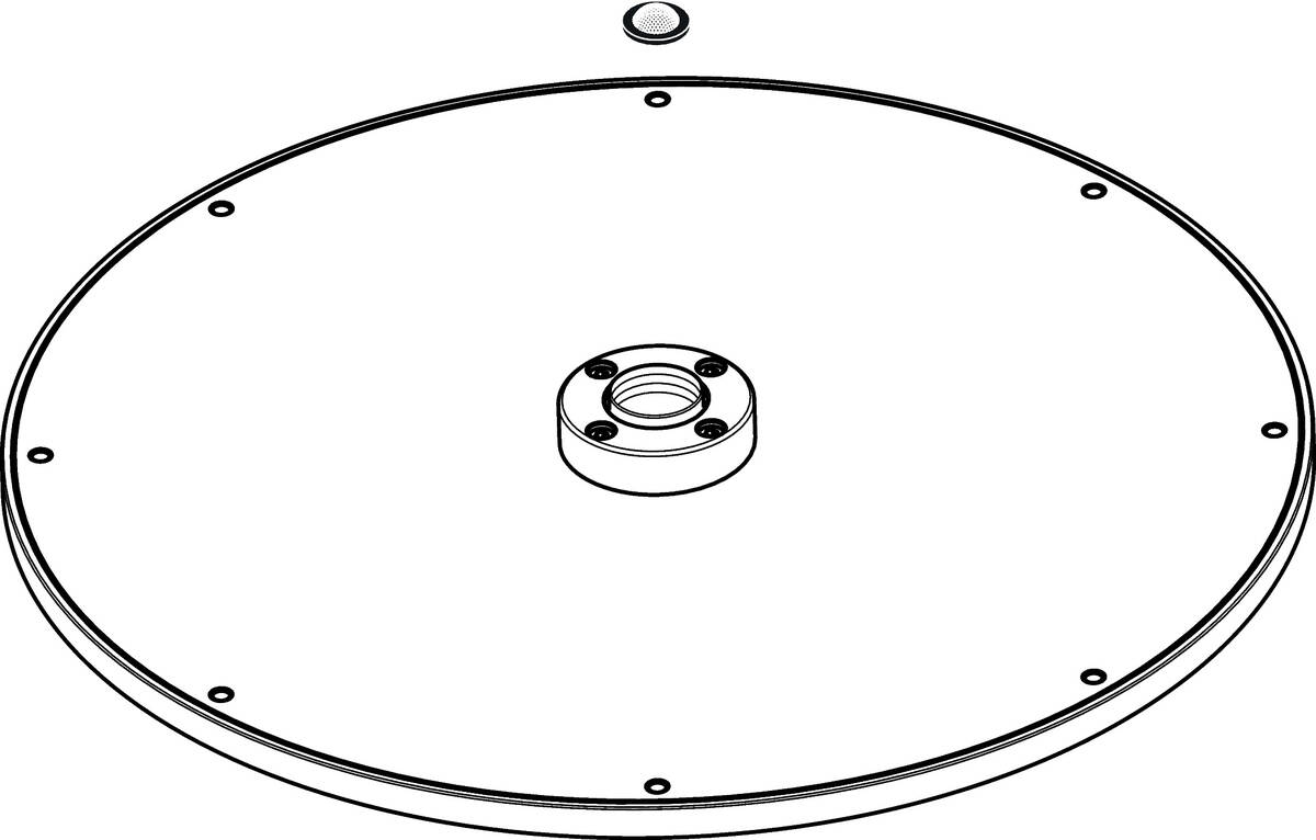 Obrázek HANSGROHE Sprchová hlavice #93288800 - Optická nerezová ocel