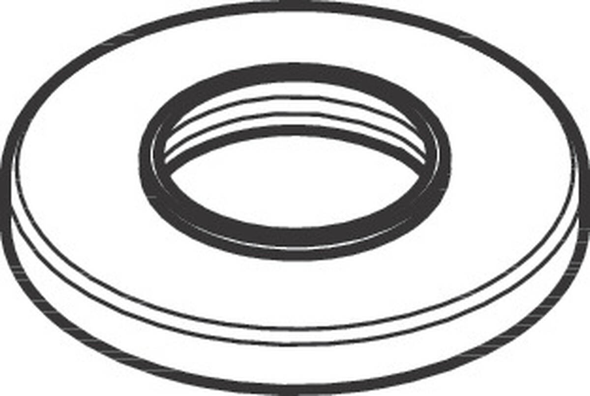 Obrázek HANSGROHE rozeta pro rukojeť #93698670