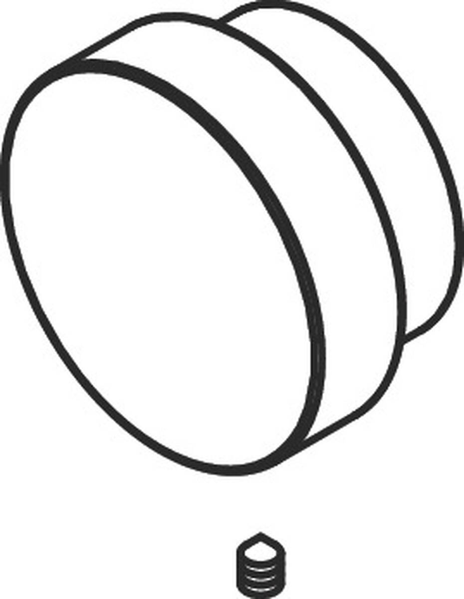 Obrázek HANSGROHE tlačítko #94369000