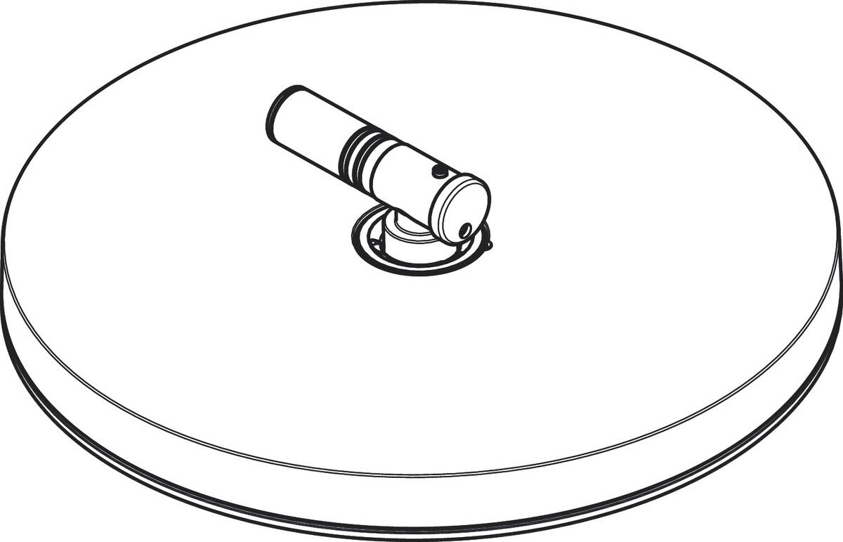 Obrázek HANSGROHE horní sprcha #94876000