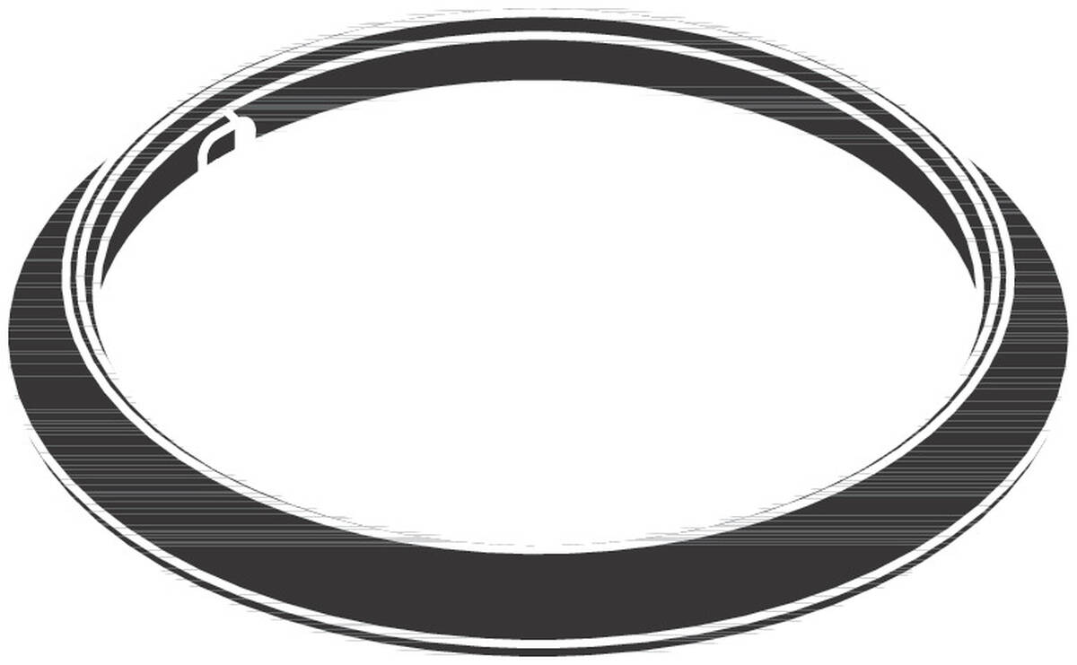 Obrázek HANSGROHE těsnicí manžeta #94795000