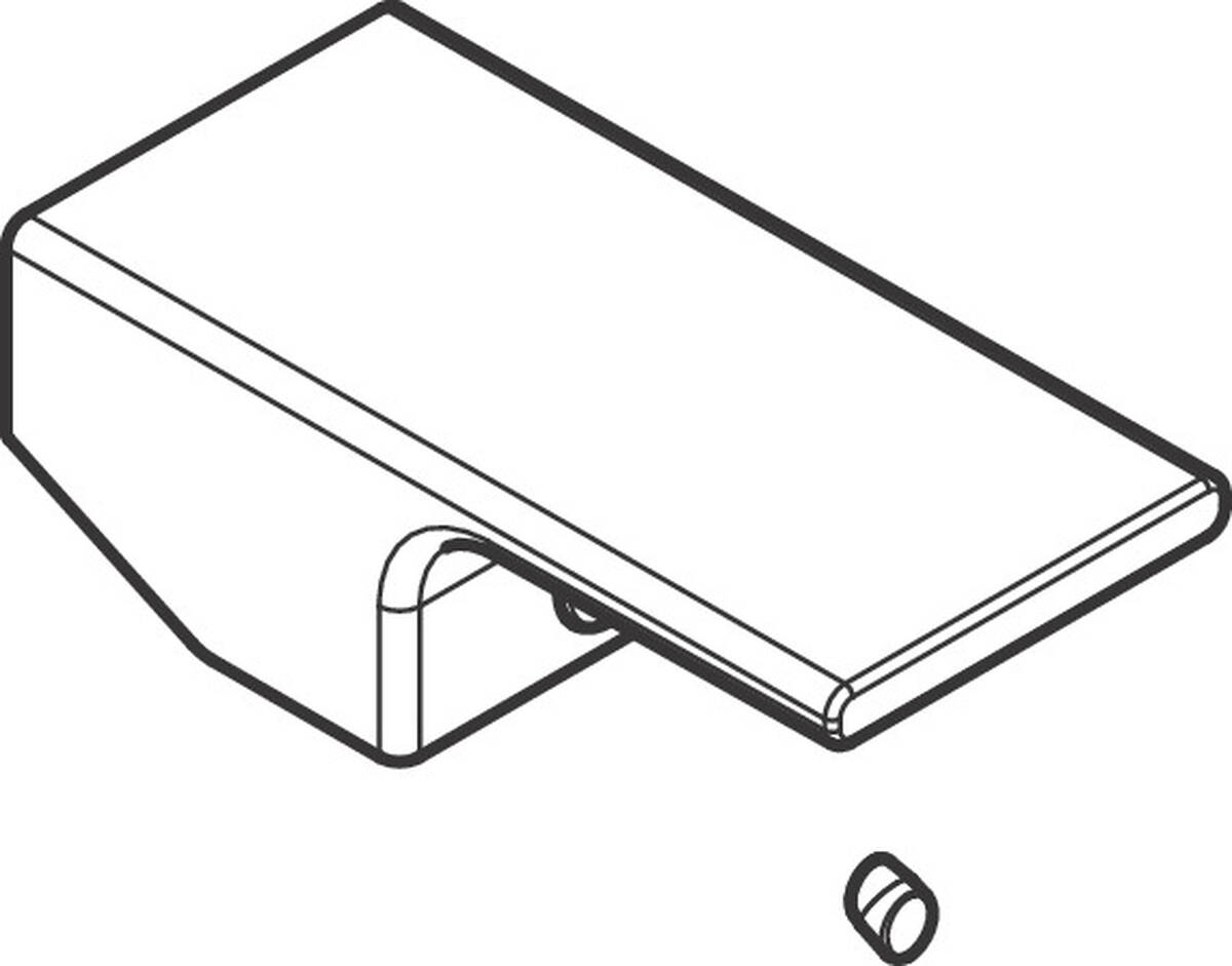 Bild von HANSGROHE Griff #94209000 - Chrom