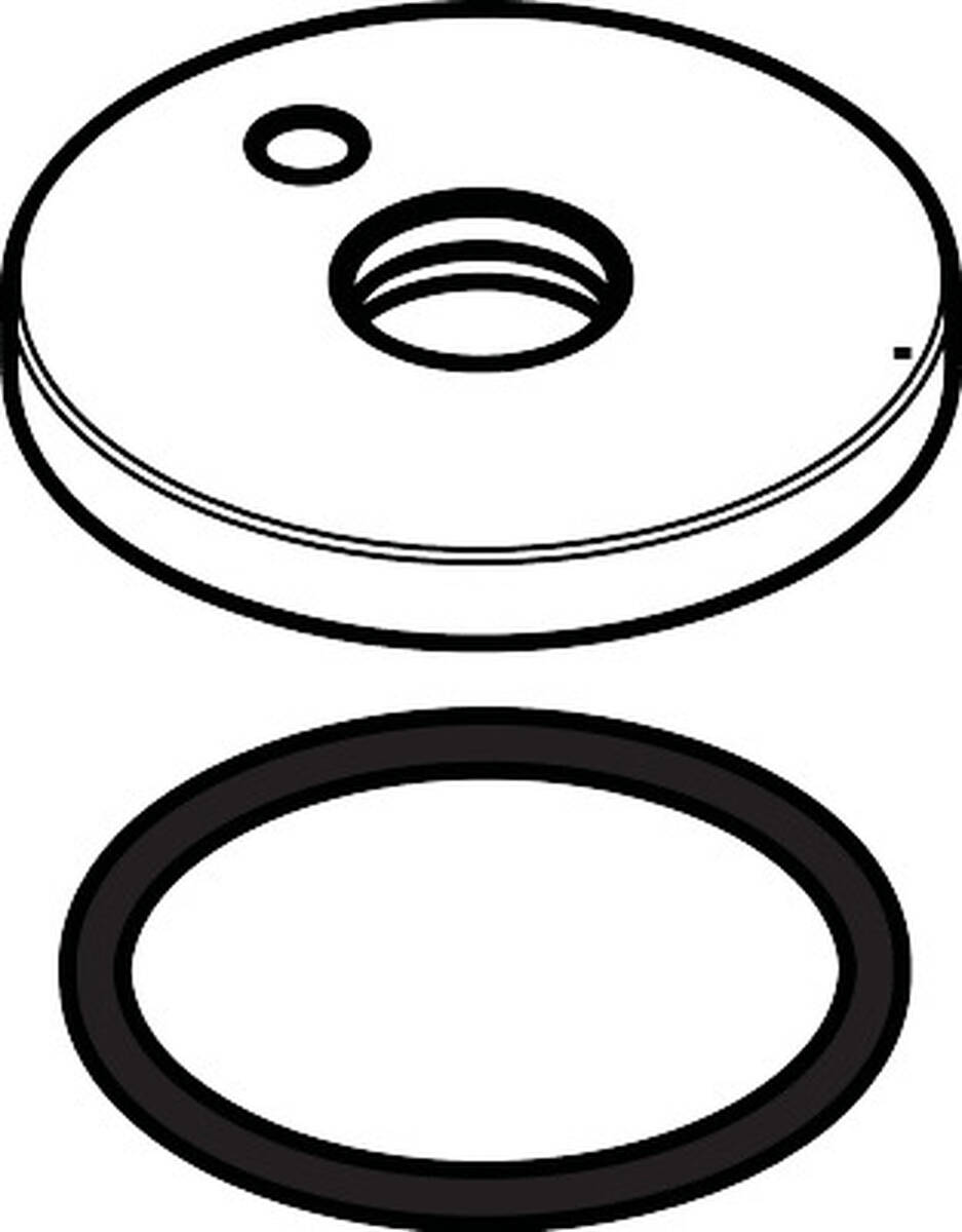 Bild von HANSGROHE Rosette für Auslauf #97505000 - Chrom