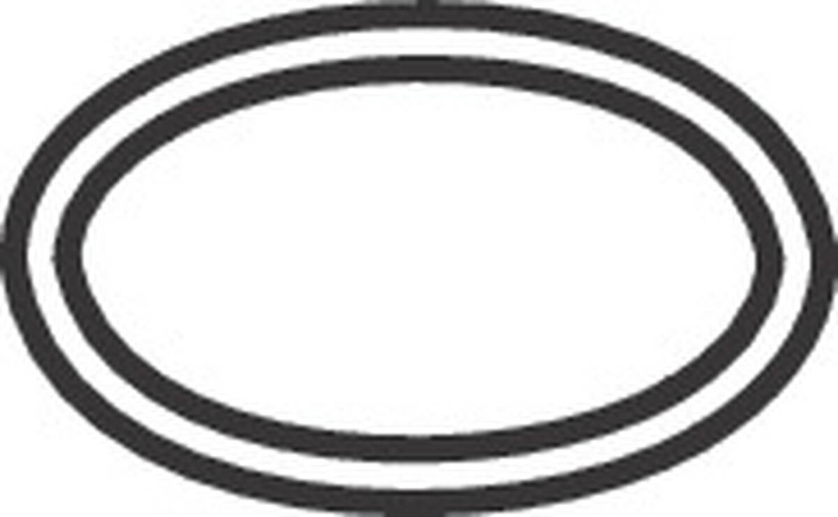 Picture of HANSGROHE O-ring 13x1 #98386000