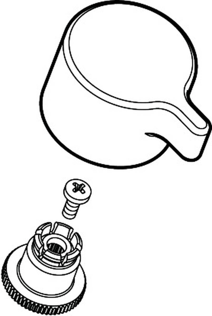Bild von HANSGROHE Griff #98618000 - Chrom