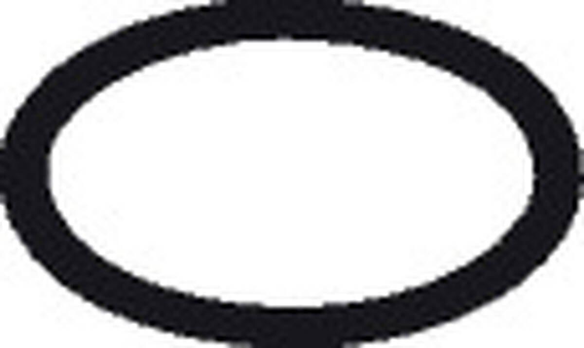 Picture of HANSGROHE HG O-ring seal 20x1mm #98140000