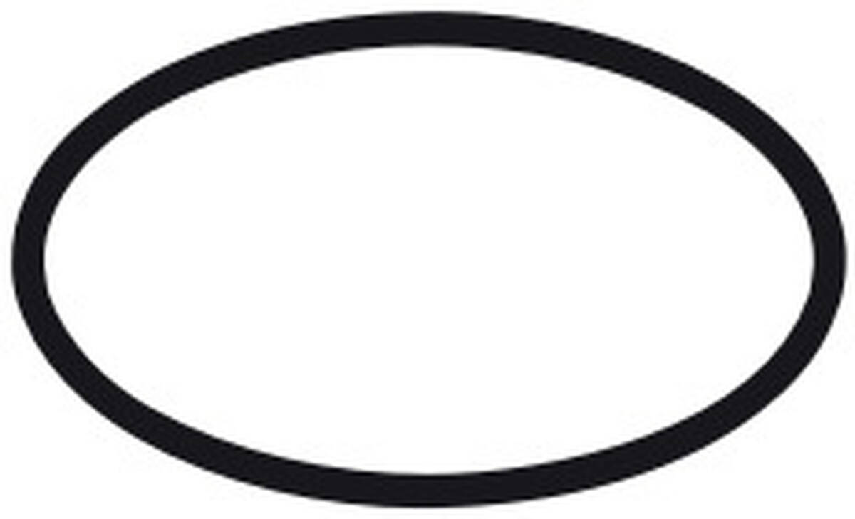 Picture of HANSGROHE O-ring 44x4 #98471000