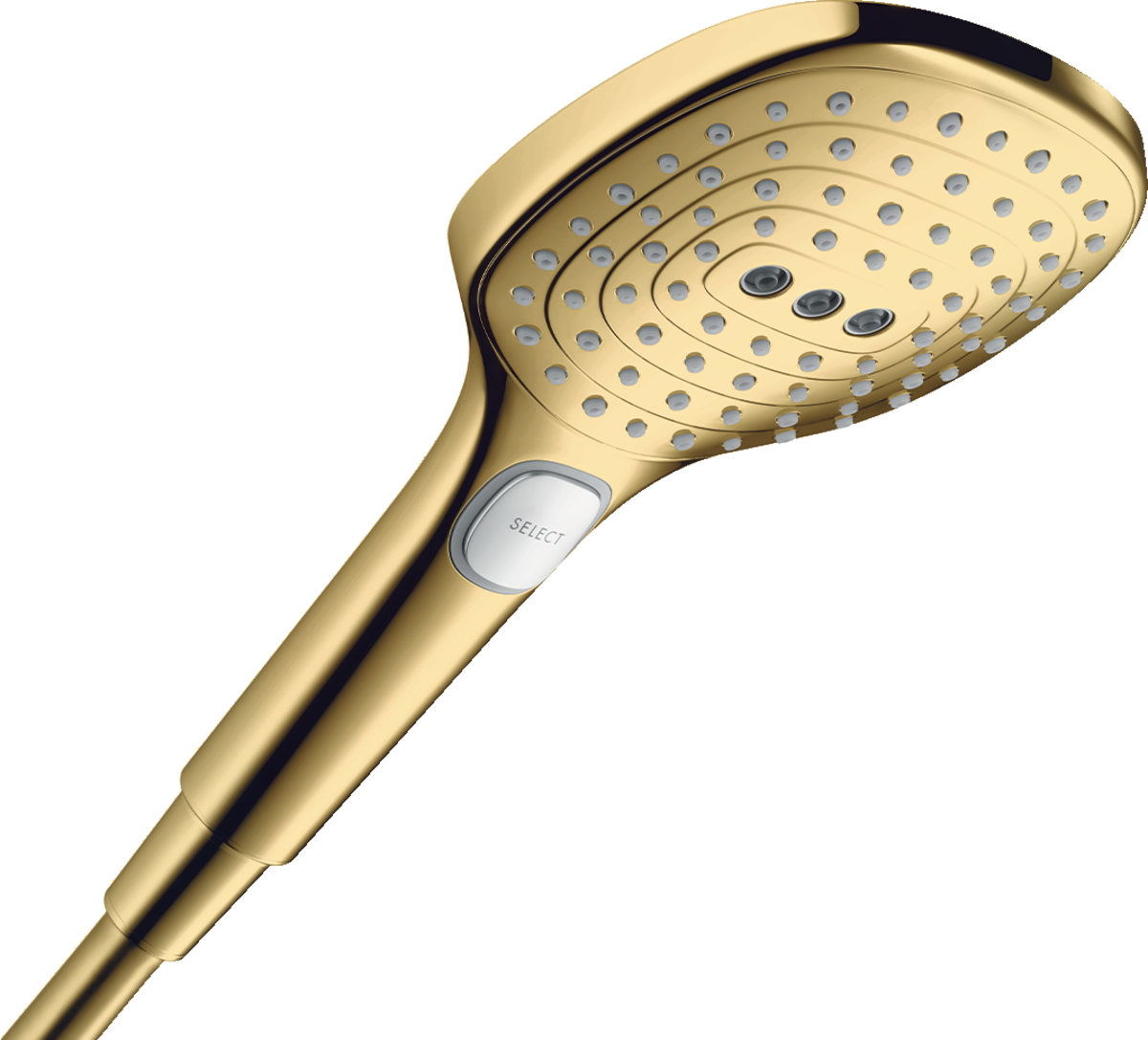 Bild von HANSGROHE Raindance Select E Handbrause 120 3jet PowderRain EcoSmart #28728990 - Polished Gold Optic
