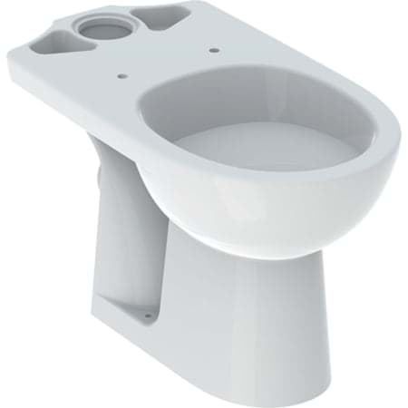 Bild von GEBERIT Renova Stand-WC für AP-Spülkasten aufgesetzt, Tiefspüler, Abgang horizontal #203820000 - weiß