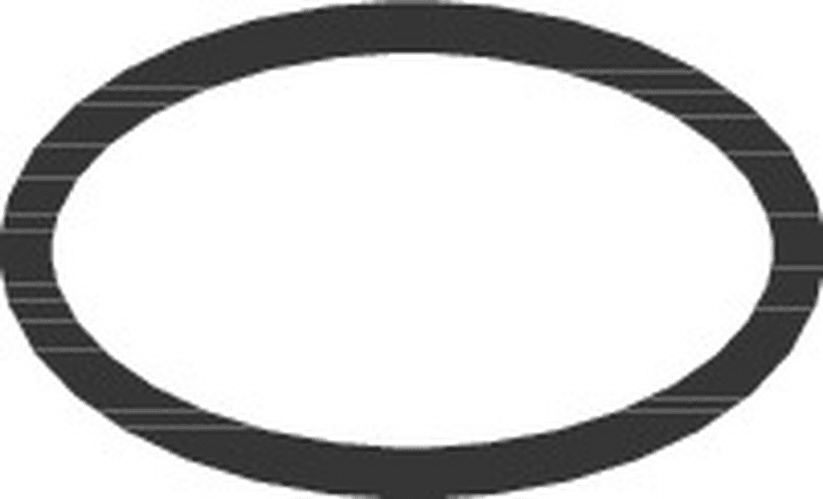 Bild von HANSGROHE O-Ring 16x2 #98133000